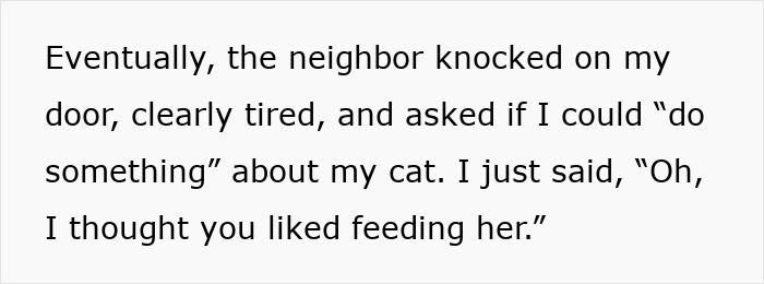 Woman Ignores Warnings About Not Feeding The Neighbors Cat, Learns Her Lesson The Hard Way Woman Ignores Warnings About Not Feeding The Neighbors Cat, Learns Her Lesson The Hard Way