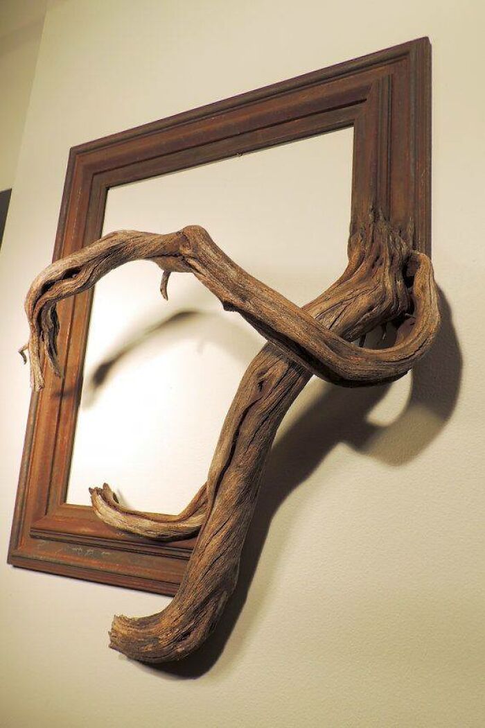 Rustic woodworking project featuring twisted driftwood art integrated with a vintage wooden frame on a wall.
