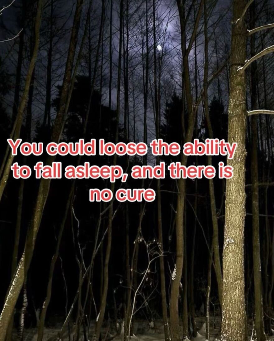 Dark forest at night with moonlight, text warning about scary sleep facts related to bones and losing sleep.
