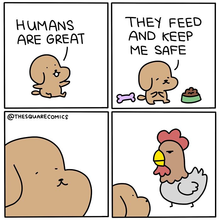 Darkly funny comic strip showing a dog appreciating humans while a chicken glares, capturing the struggle of adulthood humor.