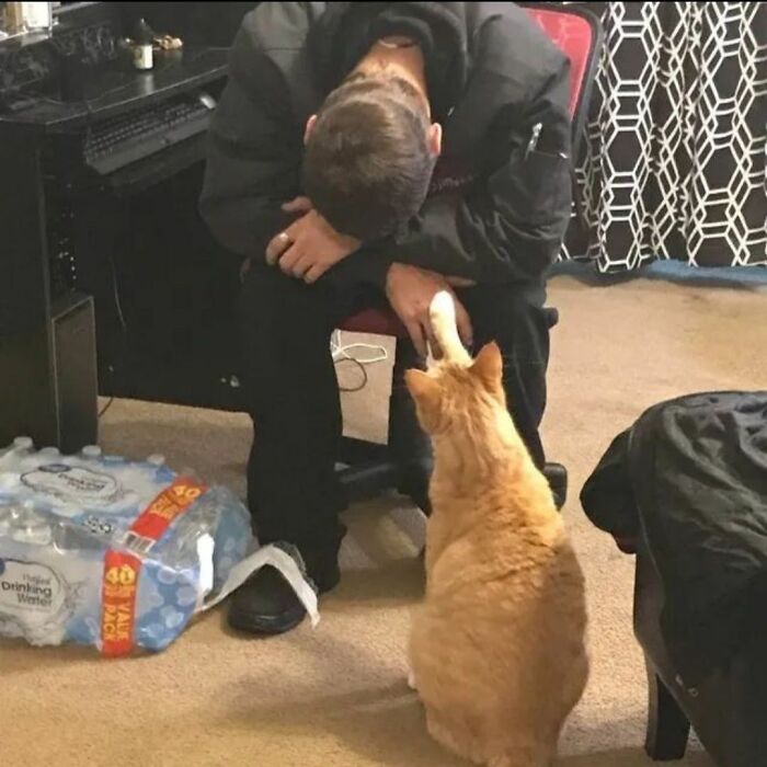 Man sitting with head down while orange cat touches his hand in a comedic moment showing cats as natural comedians.
