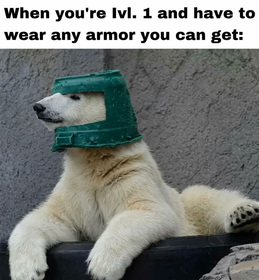 Polar bear wearing makeshift armor helmet representing relatable memes for exhausted adults who just want to play video games.
