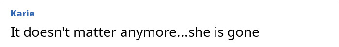 Comment reading It doesn't matter anymore...she is gone, related to case of Tommy Lee Jones's daughter found in ritzy San Francisco hotel.