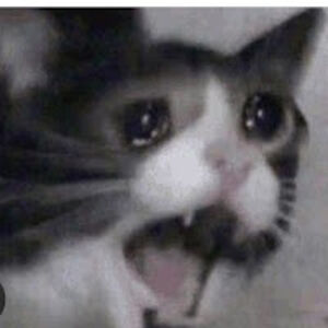 donnieworsham avatar