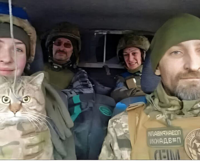 Military personnel inside a vehicle holding a large tabby cat, showcasing cute feline employees with protective gear.