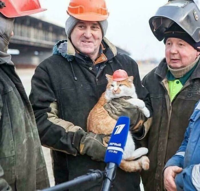 Construction workers holding a feline employee wearing a small hard hat during an outdoor interview by a news microphone.