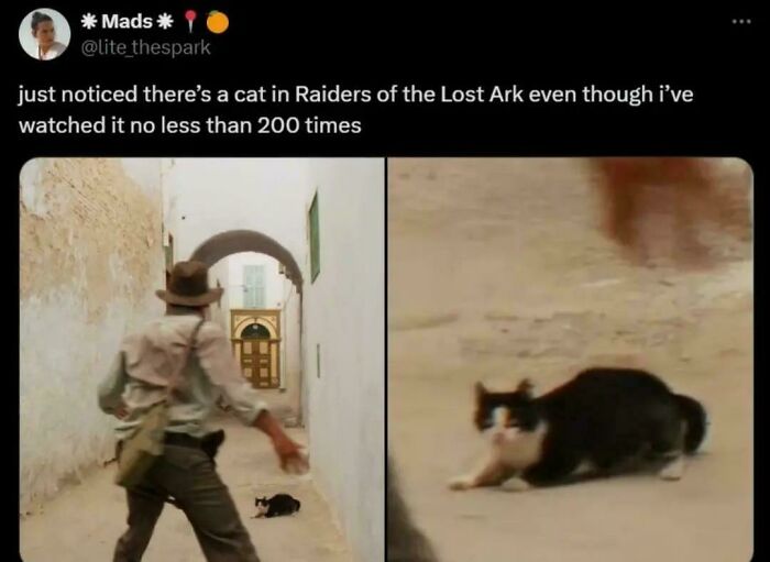 Screenshot of a Twitter post showing a black and white cat in Raiders of the Lost Ark, highlighting feline employees who deserve a raise.