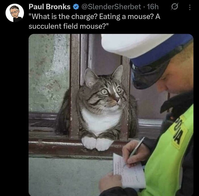 Tabby cat looking concerned behind bars while an officer writes a ticket, showcasing one of the feline employees deserving a raise.