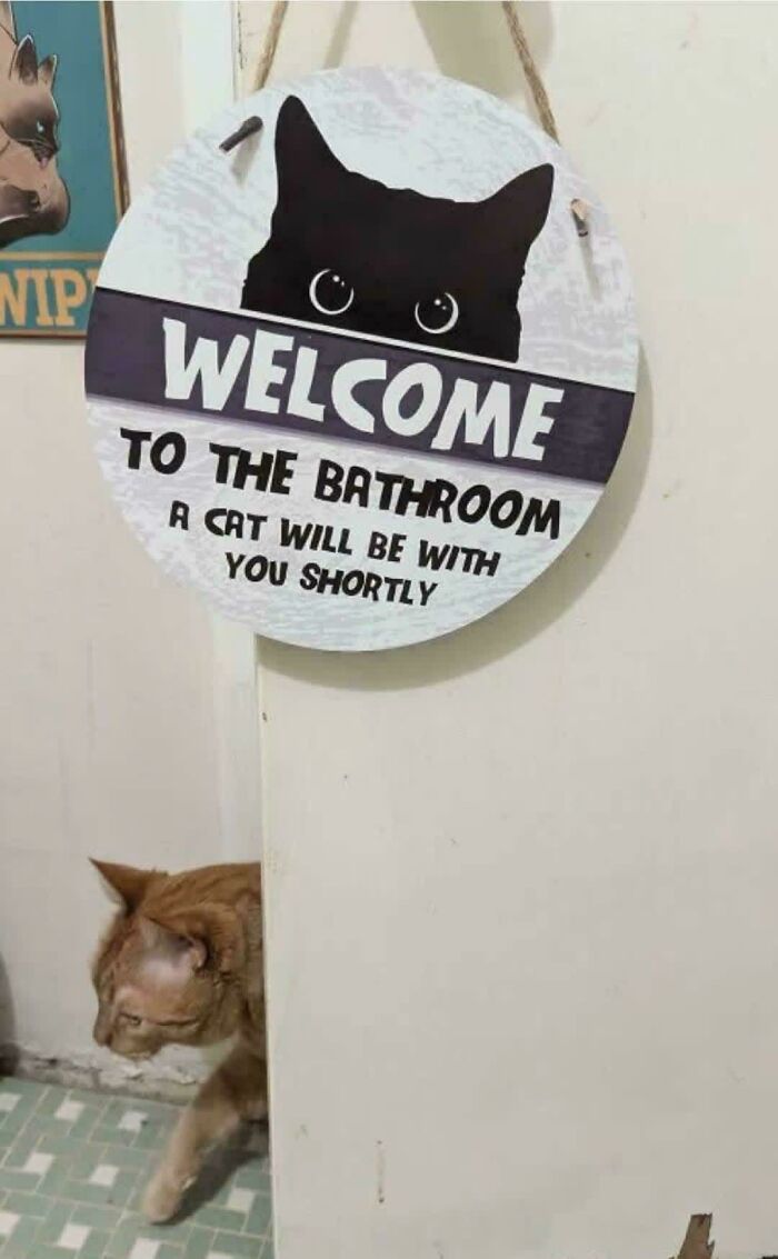 Cat employees sign hanging on bathroom door with a cat walking out, highlighting cute feline employees deserving a raise.