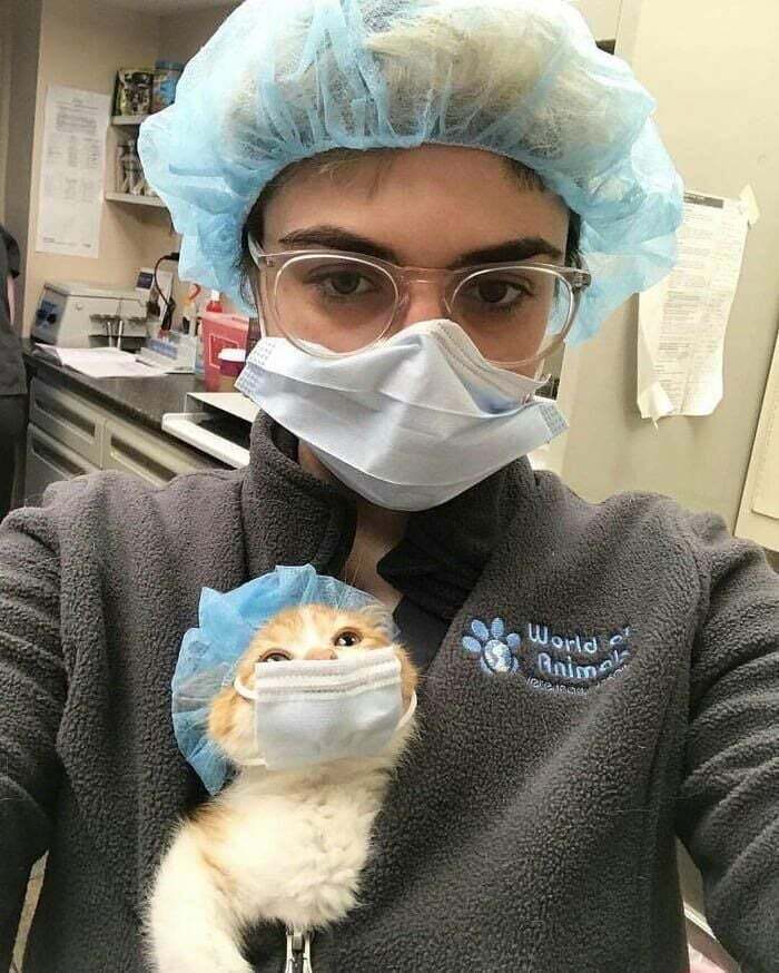 Person and a cat both wearing surgical masks and caps, highlighting cute feline employees deserving a raise.