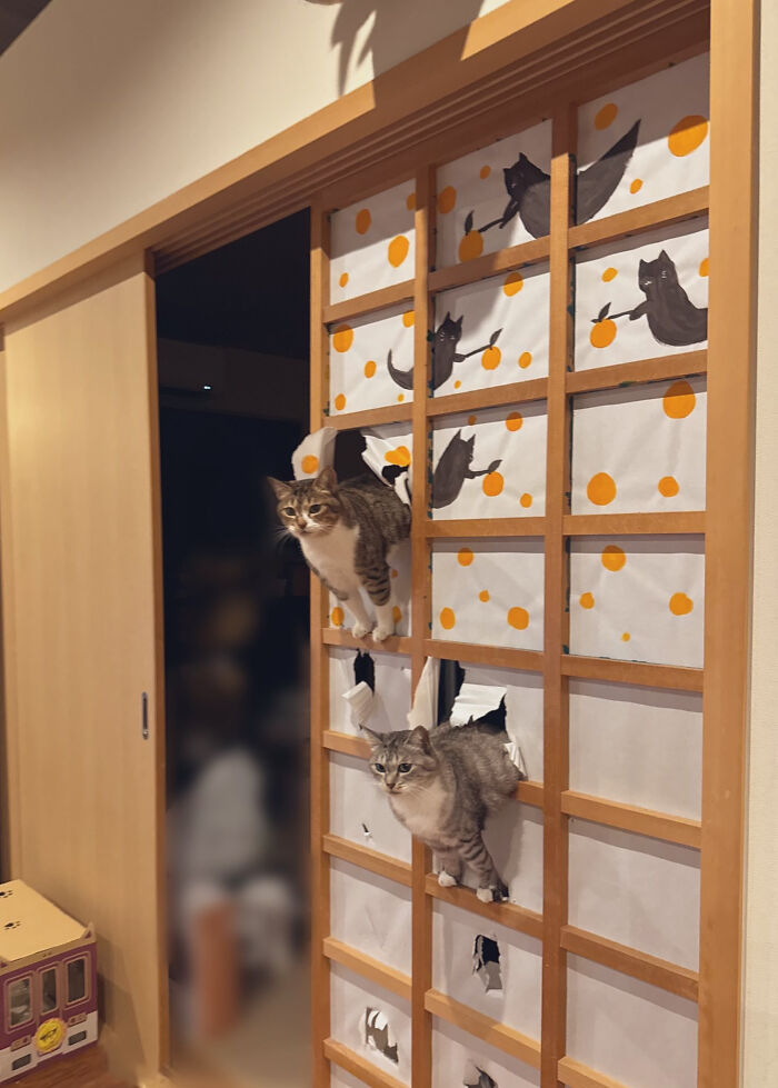 Two curious feline employees peeking through torn paper panels in a wooden frame, showcasing their cute and playful nature.
