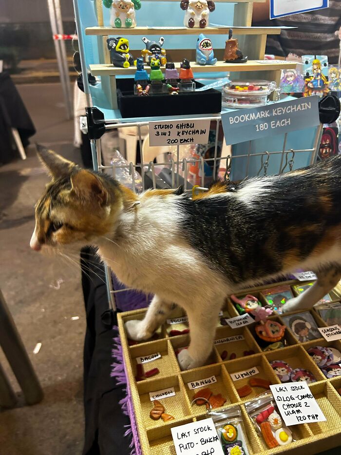Calico cat exploring a market stall filled with keychains and miniature figurines, showcasing feline charm and curiosity.