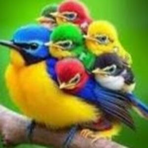 abdullahyousif avatar