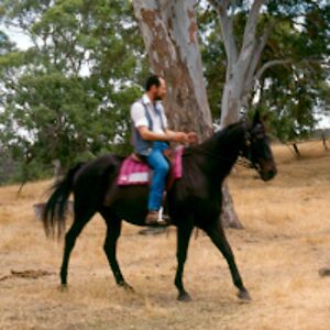 michaelkingsfordgray avatar