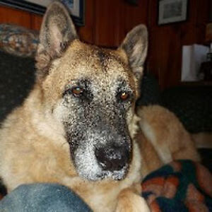 nancymiller_9 avatar