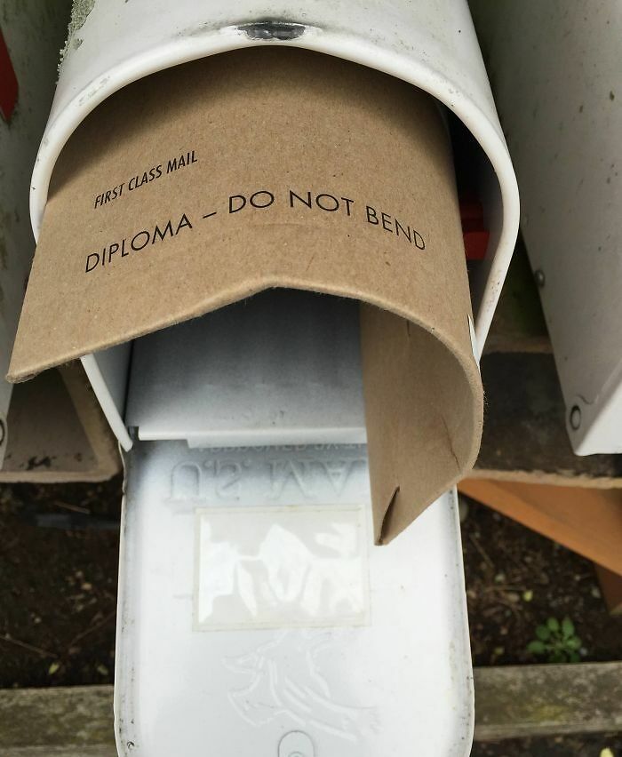 Next-level jerks bending a diploma envelope labeled DIPLOMA - DO NOT BEND jammed into a mailbox