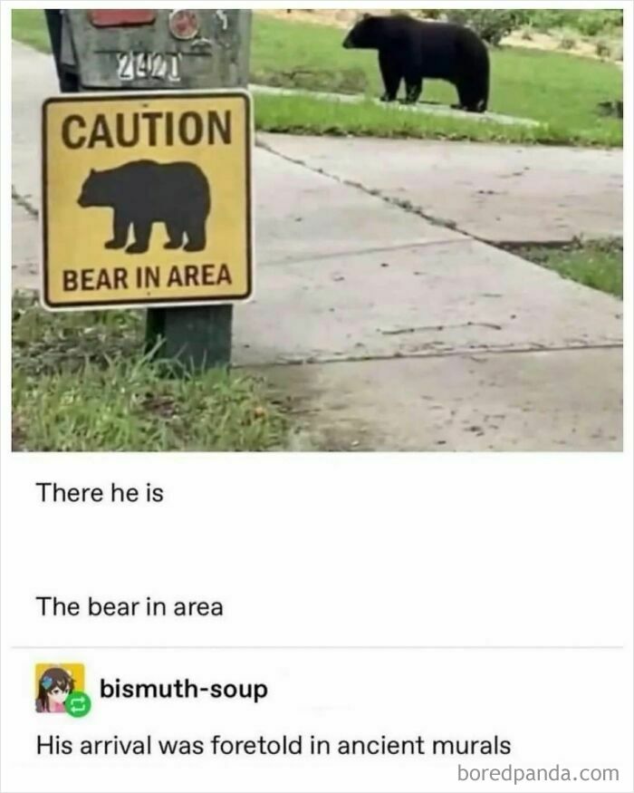 Bear meme showing caution sign with real bear in background, a funny movie meme highlighting bear in area.
