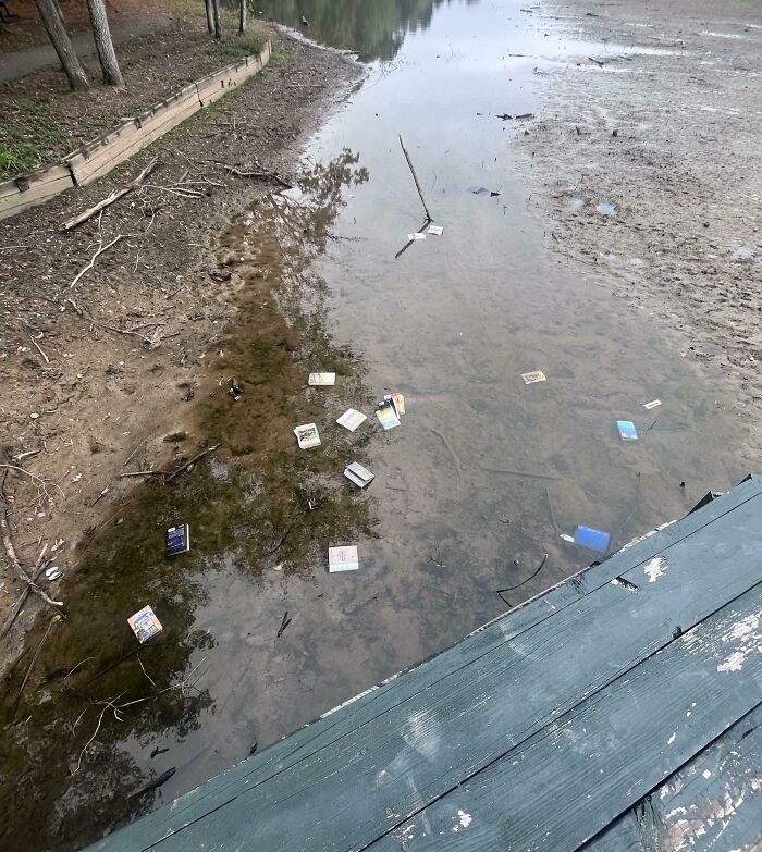Books and trash floating in shallow lake by a wooden dock, example of next-level jerks littering nature