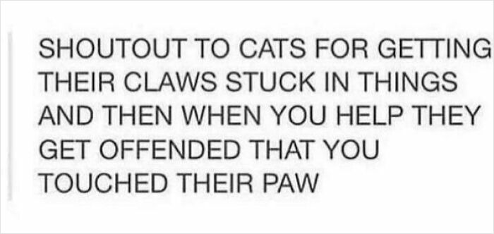 Text meme about cats getting claws stuck and getting offended when helped, related to cat memes and humor.