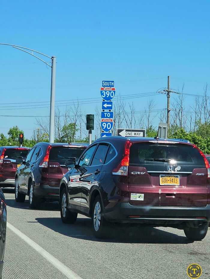Glitches In The Matrix: identical maroon Honda CR-Vs lined up at a traffic light beneath I-390 and I-90 signs