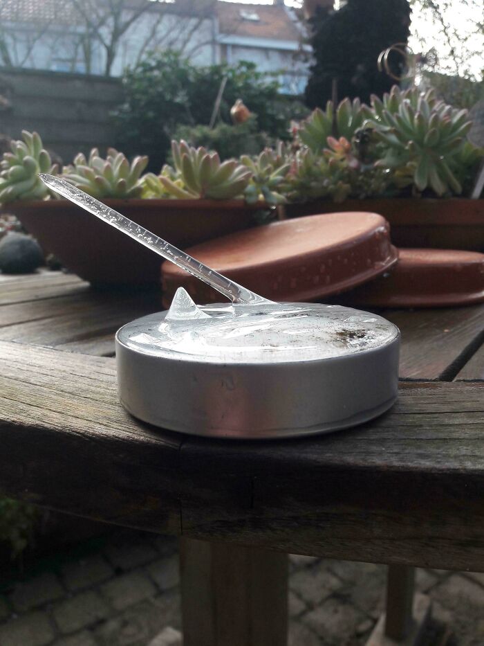 Icy spike of frozen water on a metal tin on a wooden garden table with succulents and pots, glitches in the matrix