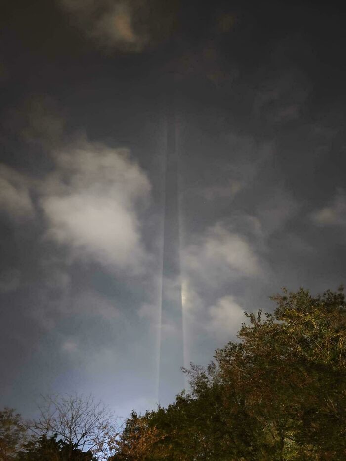 Vertical light beams piercing a cloudy night sky above trees, evoking glitches in the matrix