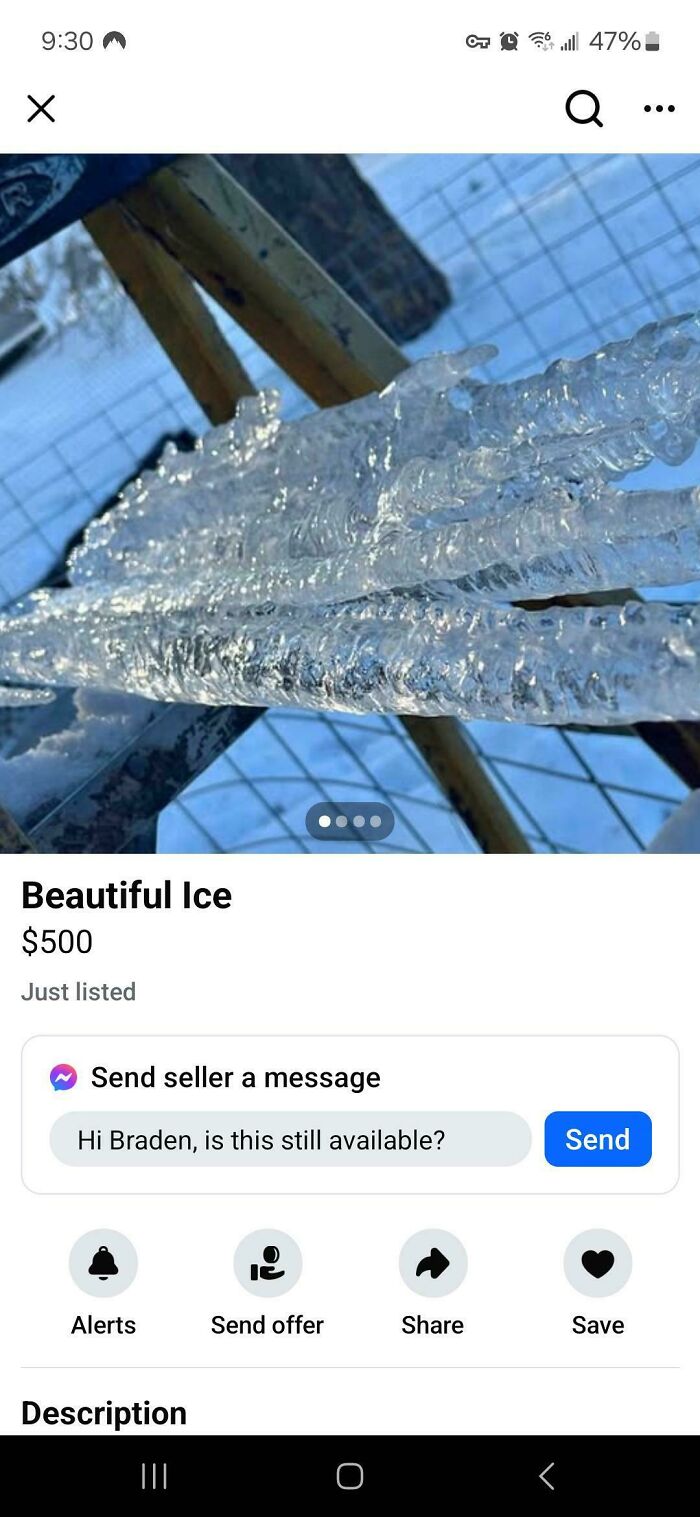 Close-up icicles on a ladder listed as beautiful ice for $500 - example of unhinged things people could sell online