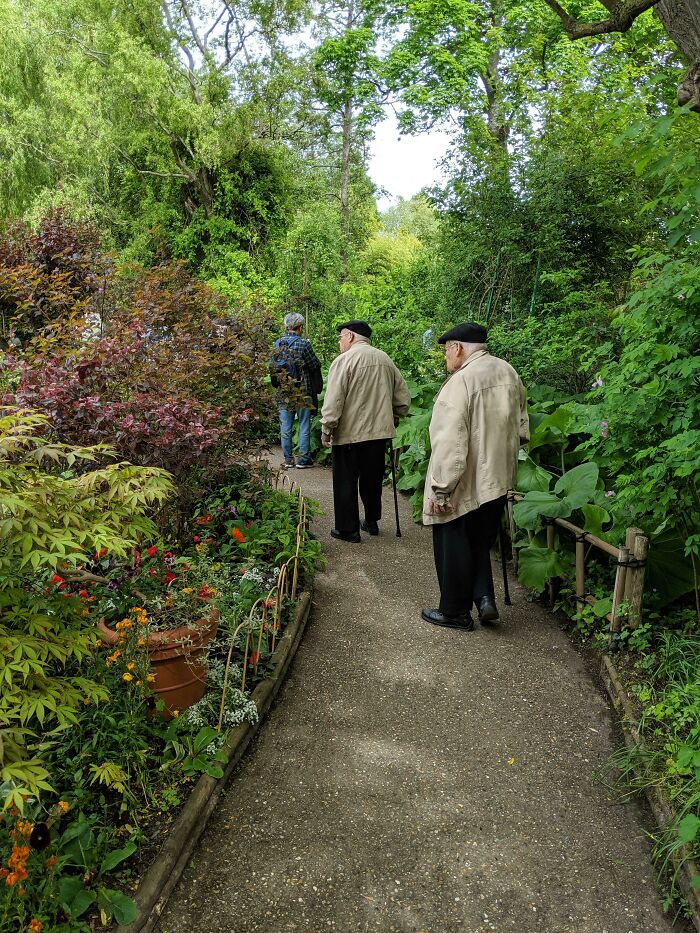 Two elderly men with canes walking a lush garden path among flowers and trees, glitches in the matrix
