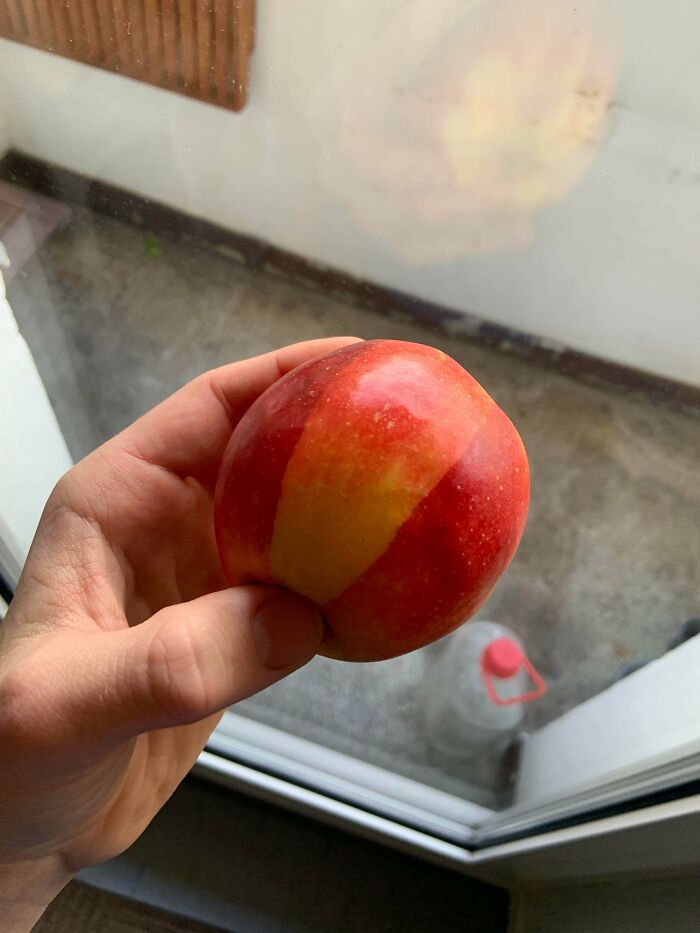 Hand holding red-yellow apple by window with reflection and bottle outside, glitches in the matrix