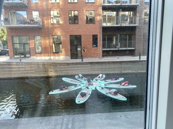 People practicing yoga on stand-up paddleboards arranged in a flower shape on water, showcasing impressive country implementations.