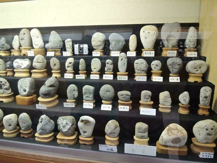 Collection of unique rocks shaped like faces displayed on wooden stands, showcasing impressive things countries implemented.