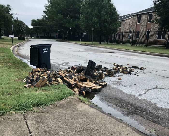 Charred bricks scattered across a suburban street beside a tipped trash bin, woke up expecting chaos
