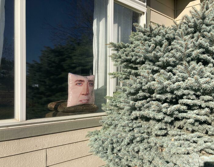 Pillow with a printed face reflecting in a window, creating a confusing and funny visual scene outdoors.