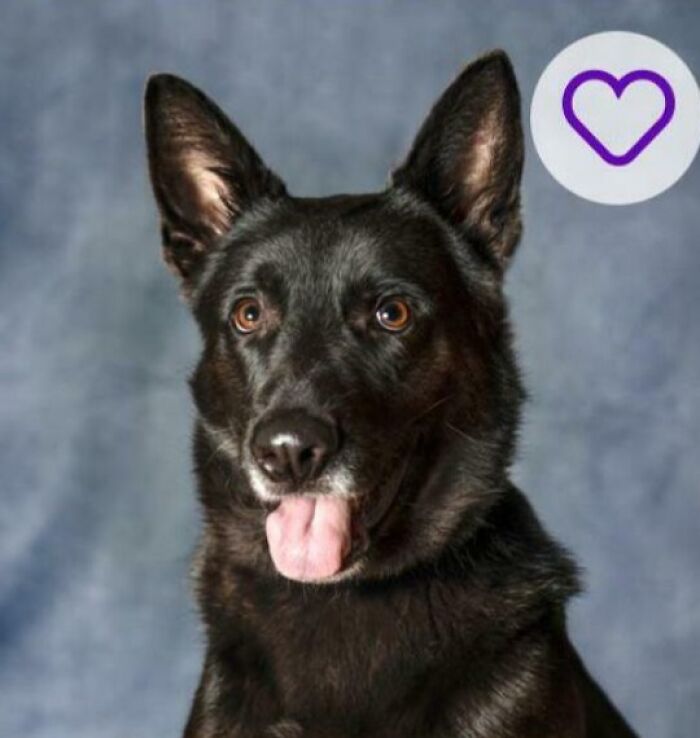 Vegan. The Yearbook Photo Sells It For Me