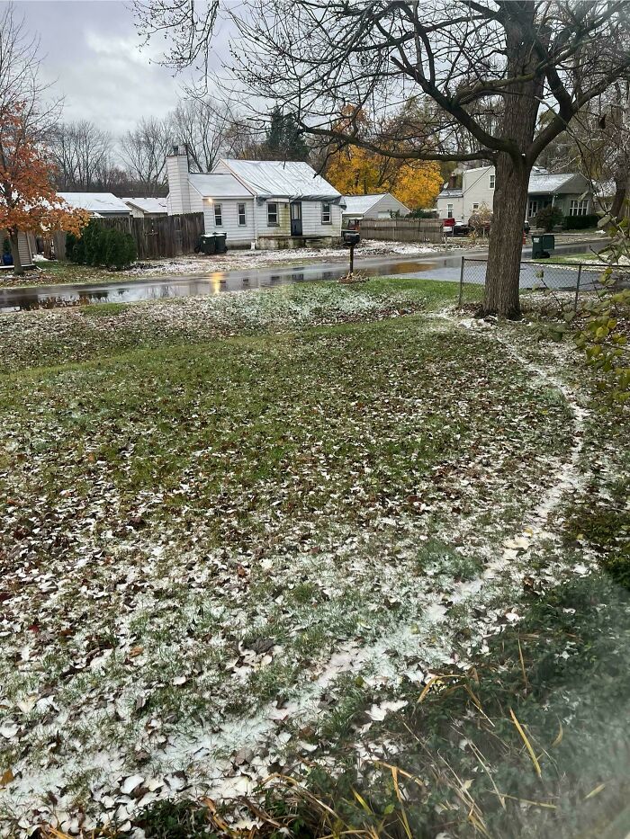 Desire path curving through snowy grass in a residential neighborhood showing how people walk in reality.