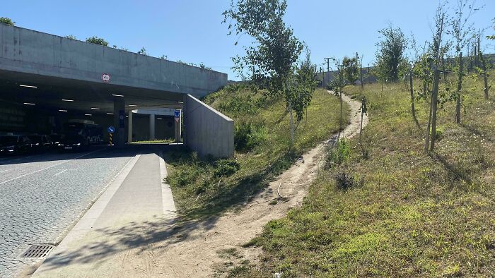 A desire path cutting diagonally across a grassy hill beside an urban road and underpass showing real pedestrian routes.