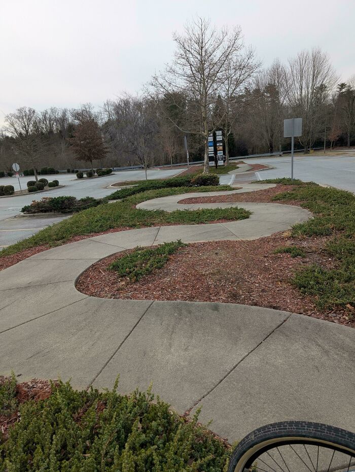Curved concrete pathways winding through landscaped urban area with sparse trees, illustrating desire paths in city planning.