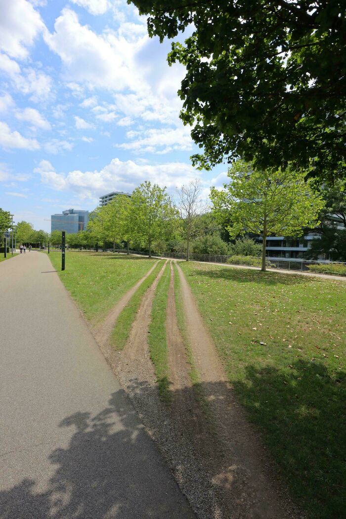 Desire paths formed in a city park showing how people walk differently from planned paved sidewalks on a sunny day.