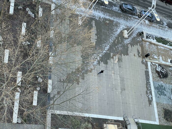 Aerial view of a city plaza showing desire paths worn through snow where pedestrians walk off the planned sidewalks.