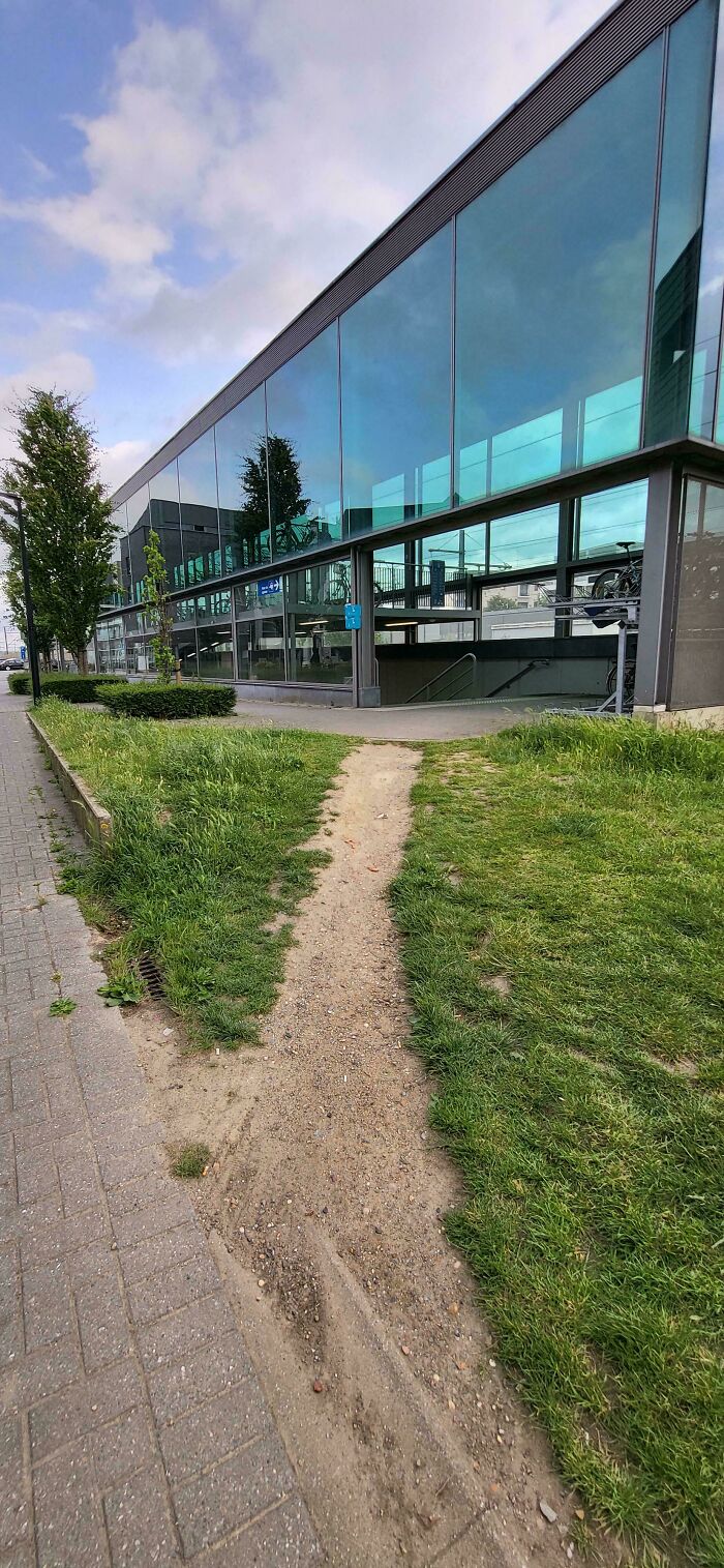 Desire path cutting across grass near a modern glass building showing how people walk differently from city planning.