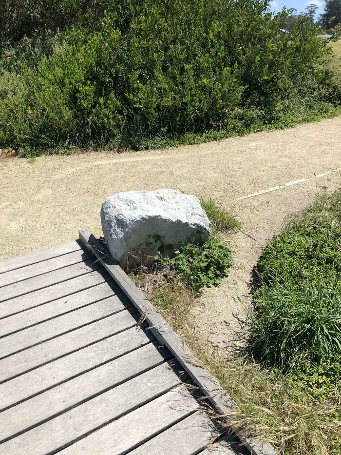 Desire paths showing how people walk around obstacles instead of using the planned wooden bridge in a natural urban setting.