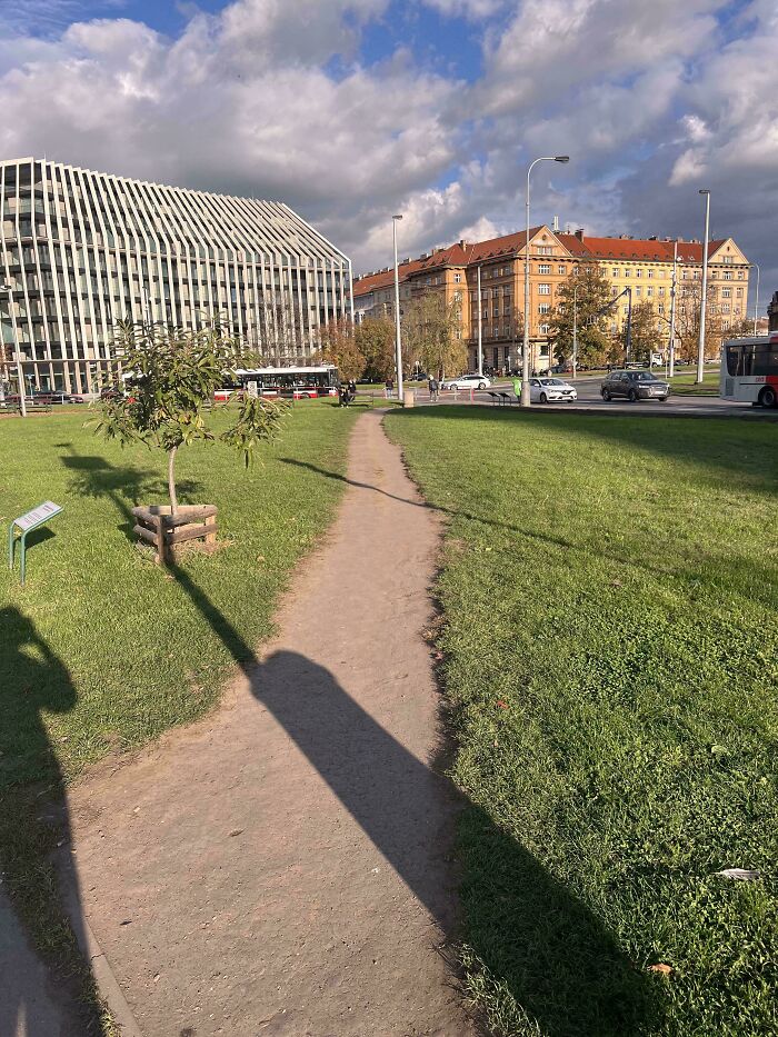 Desire path cutting through grass in an urban park, showing how people walk differently from city planning paths.