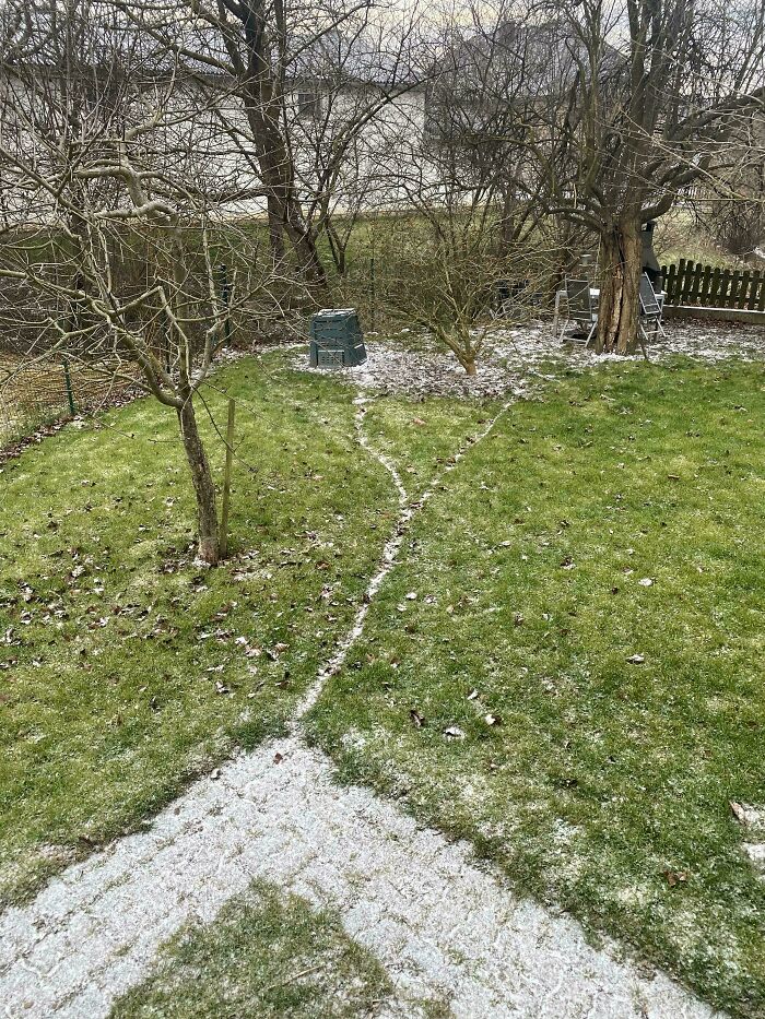 Desire paths in a snowy backyard showing how people create informal walkways through grass around trees and garden structures.