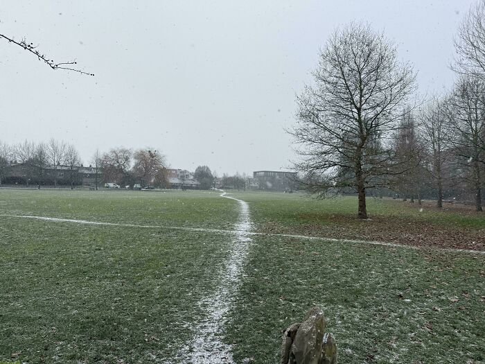Desire path cutting through snowy park grass showing how people walk differently from city planning in reality.