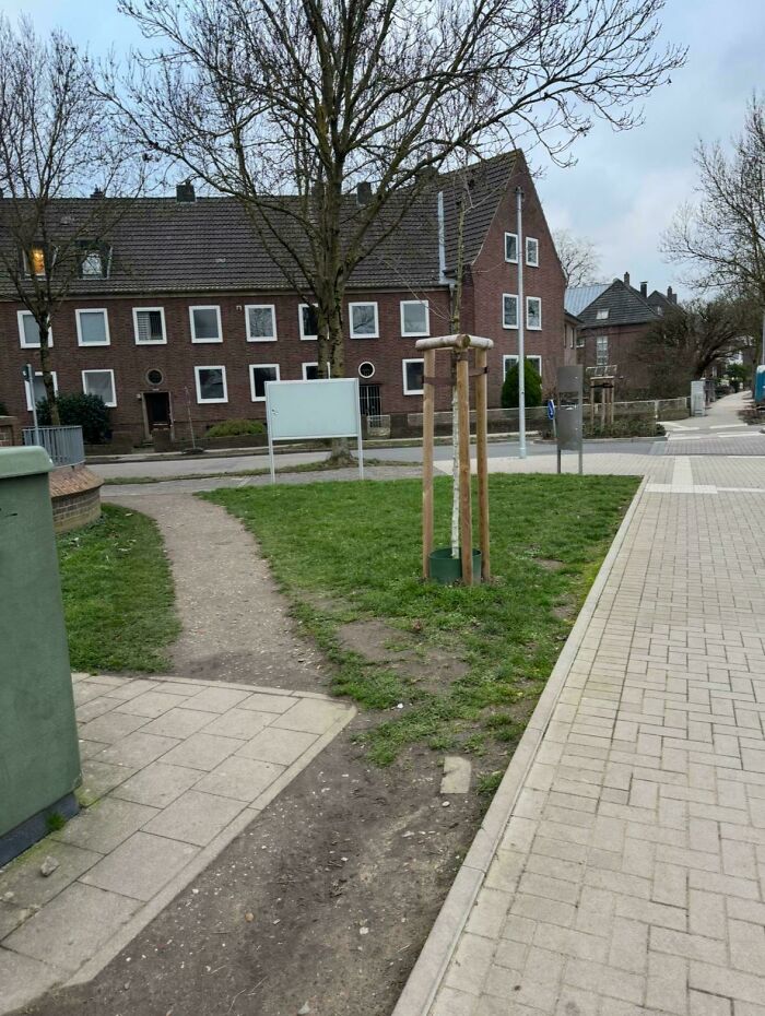 Desire path cutting across grass between sidewalks in an urban area, showing how people walk despite planned city paths.