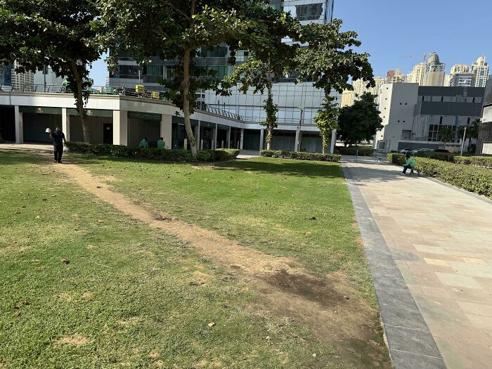 Desire path worn through grass alongside a paved walkway in an urban park with city buildings in the background.