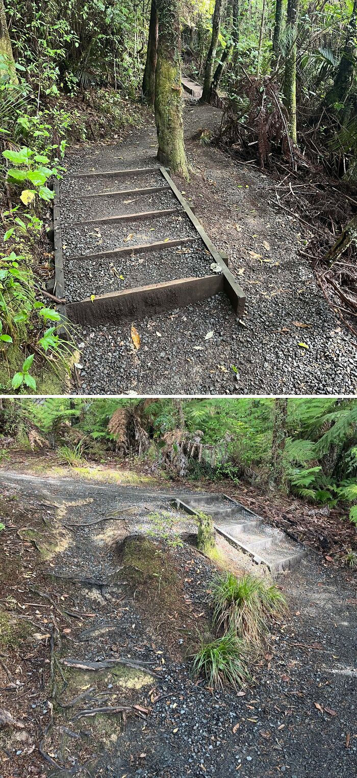 Two images showing desire paths in a forest where people create shortcuts next to planned gravel stairs.