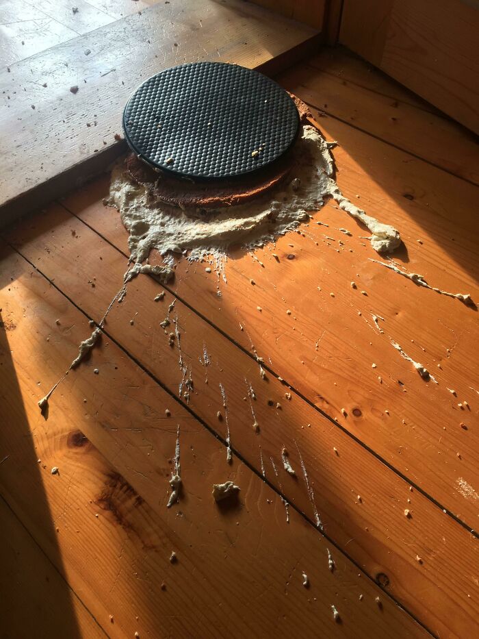 Dessert ruined on wooden floor with a smashed waffle and spilled cream spread in multiple directions.