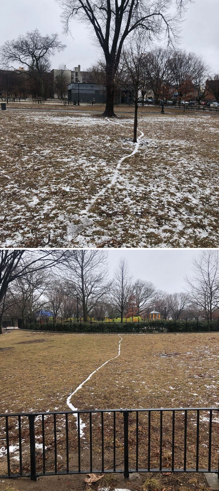 Snow-covered desire paths across city parks reveal how people walk differently from planned routes in urban spaces.