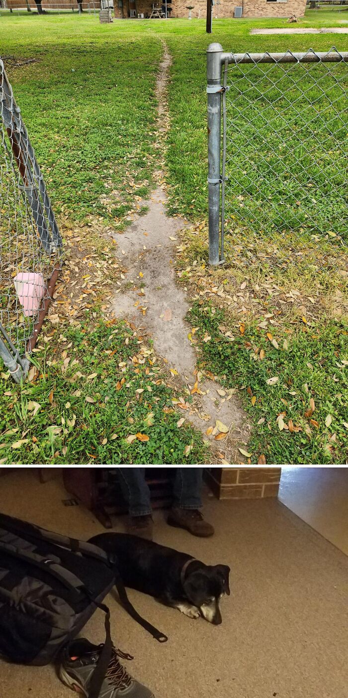 Desire path through a fence in a grassy yard illustrating how people walk in reality versus city planning.
